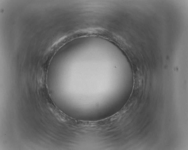 X0000081491158200701262046