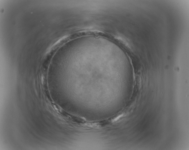 X0000081491159200701262046