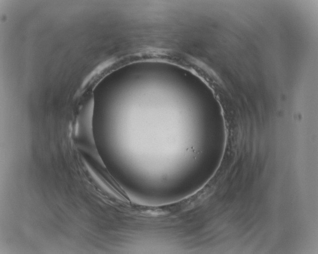 X0000081491160200701262046