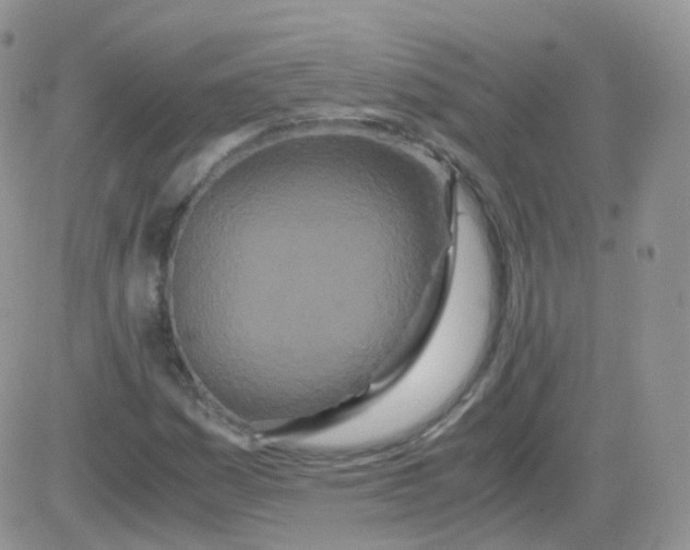 X0000081491161200701262046