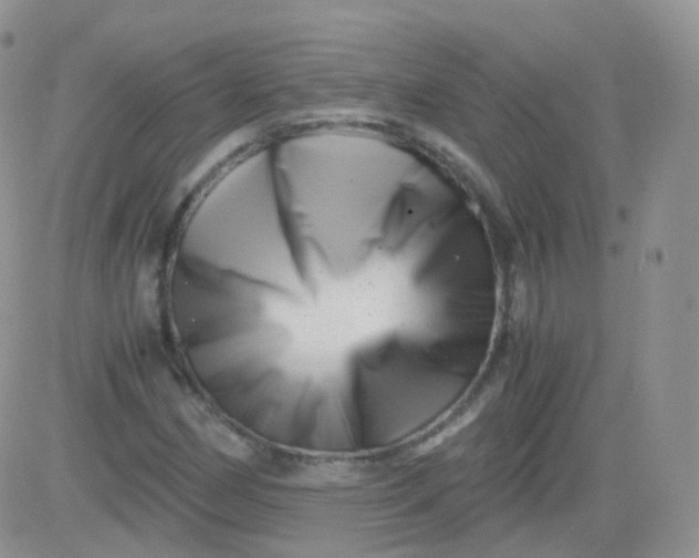 X0000081491162200701262046