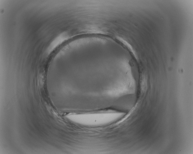 X0000081491163200701262046