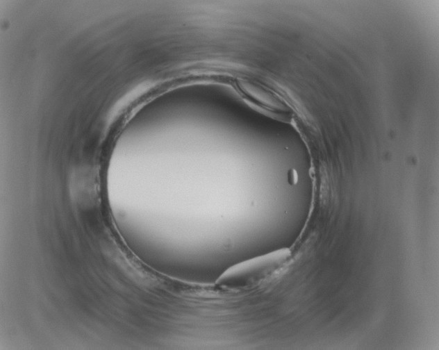 X0000081491164200701262046