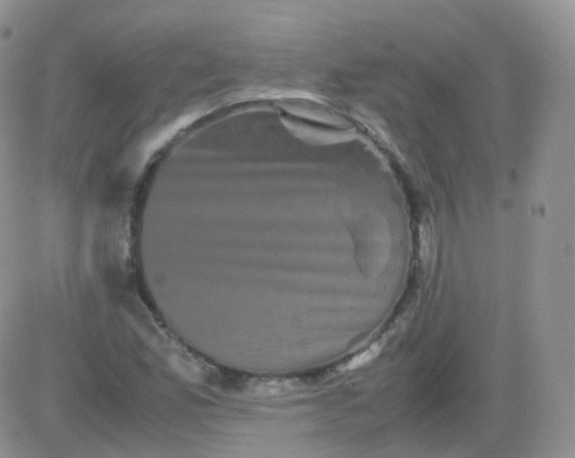 X0000081491165200701262046