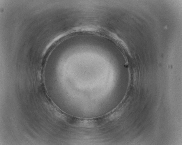 X0000081491166200701262046