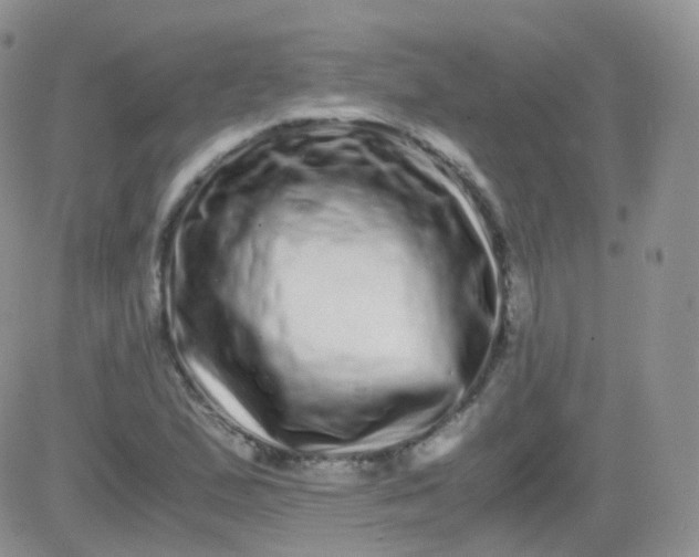 X0000081491167200701262046