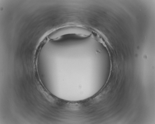 X0000081491168200701262046