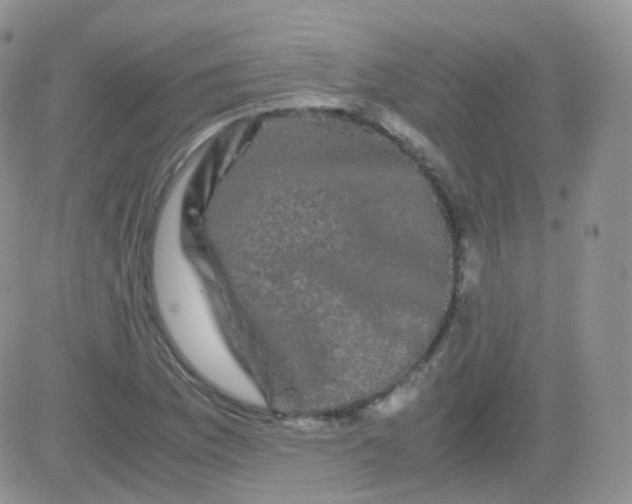 X0000081491169200701262046