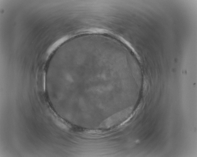 X0000081491171200701262046