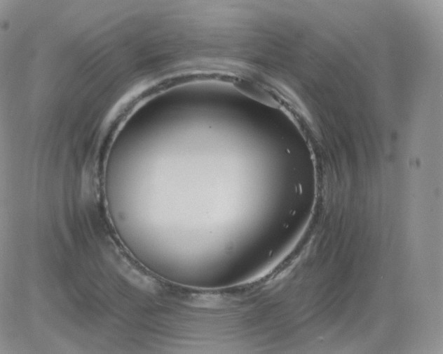 X0000081491172200701262046