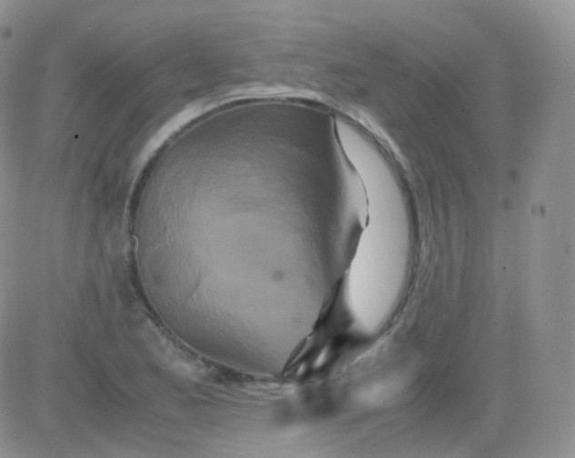 X0000081491173200701262046