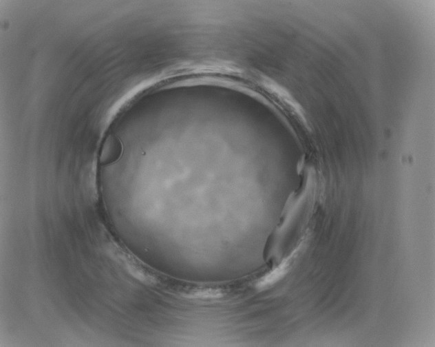 X0000081491174200701262046