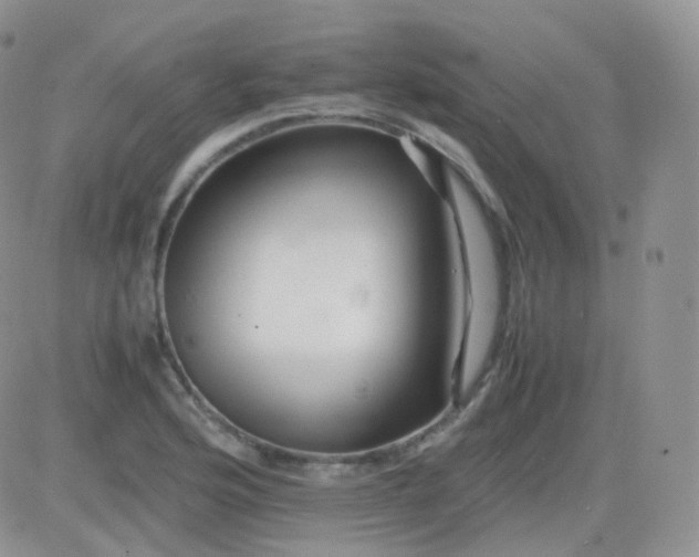 X0000081491176200701262046