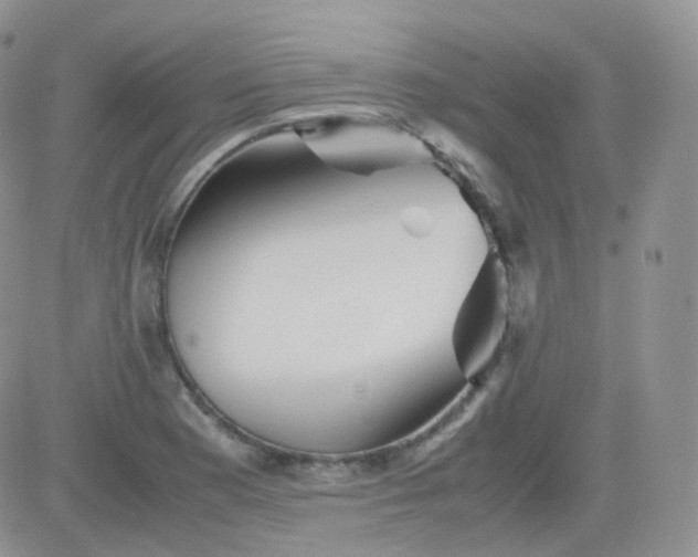 X0000081491177200701262046