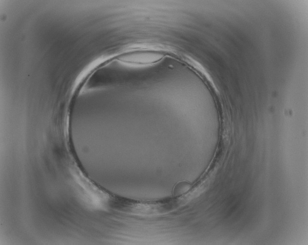 X0000081491179200701262046