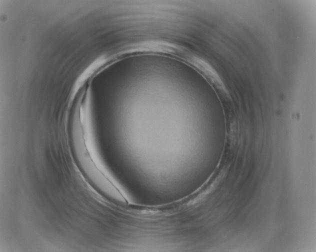 X0000081491180200701262046