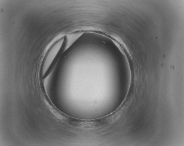 X0000081491181200701262046