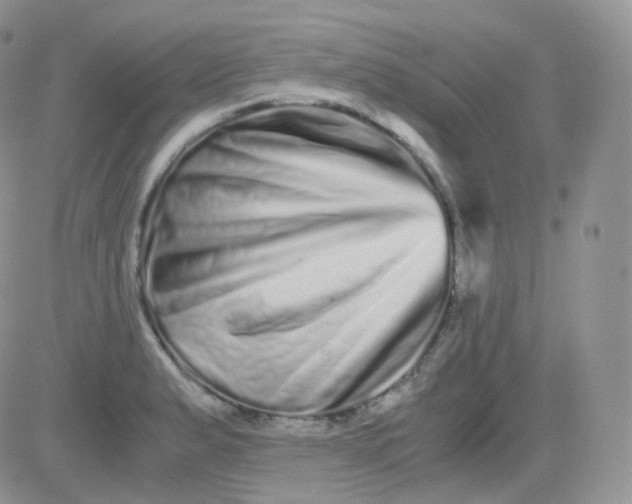 X0000081491183200701262046