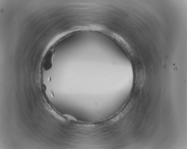 X0000081491184200701262046