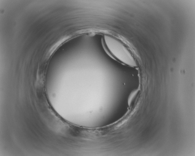 X0000081491185200701262046