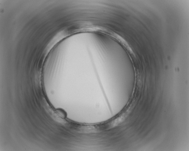 X0000081491186200701262046