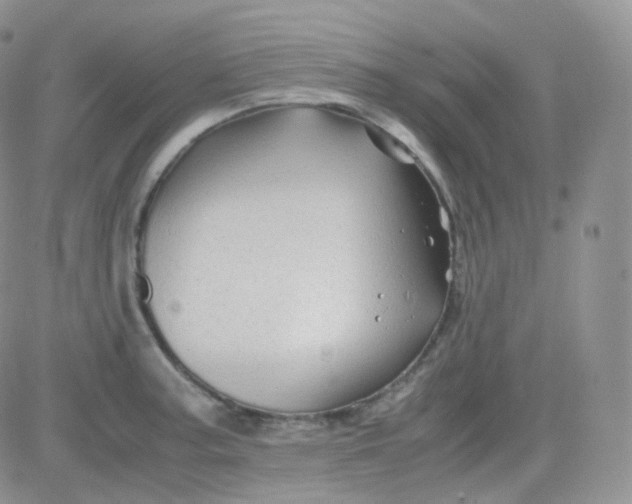 X0000081491187200701262046