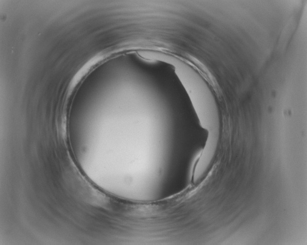 X0000081491188200701262046