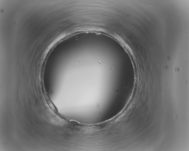 X0000081491189200701262046