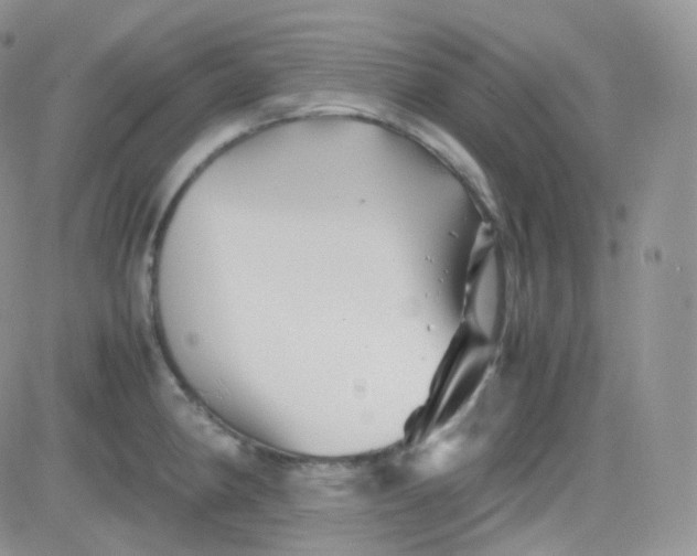 X0000081491190200701262046