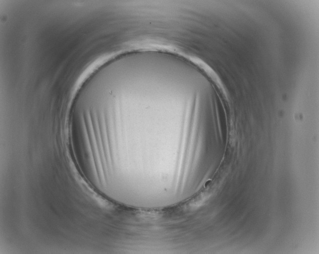 X0000081491191200701262046