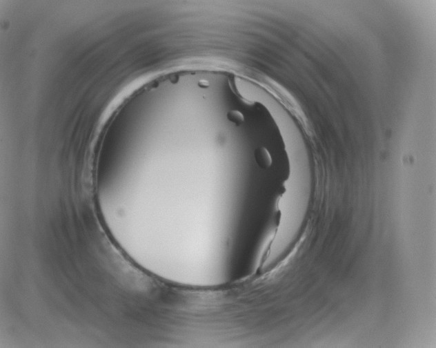 X0000081491192200701262046