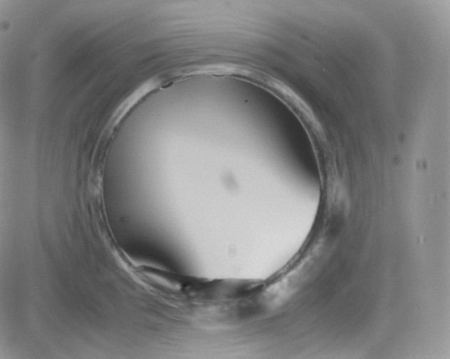 X0000081491193200701262046