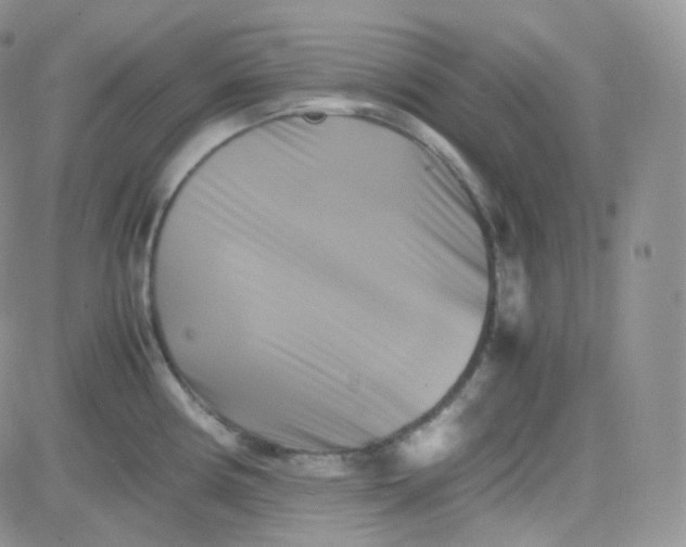 X0000081491194200701262046