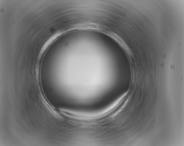 X0000081491196200701262046