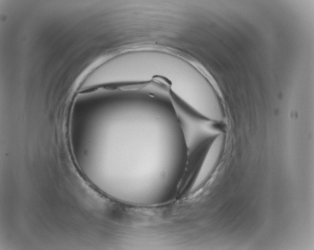 X0000081491197200701262046