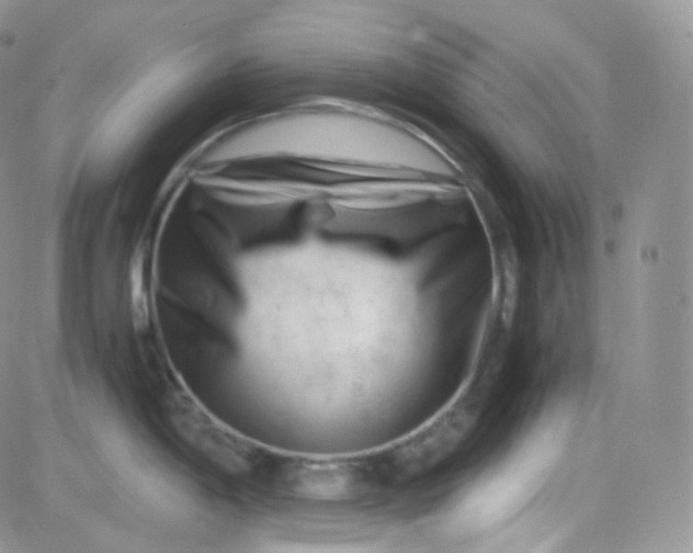 X0000081491198200701262046