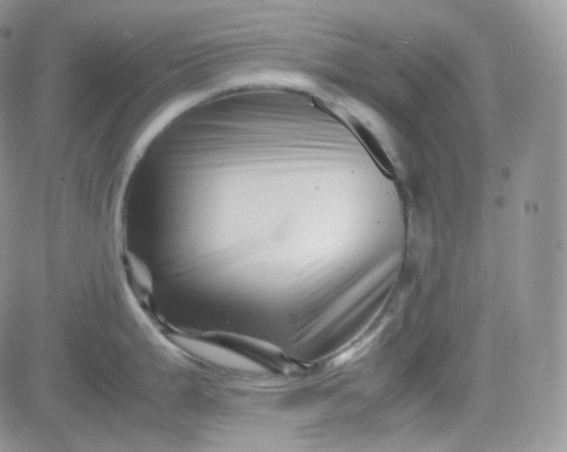 X0000081491199200701262046