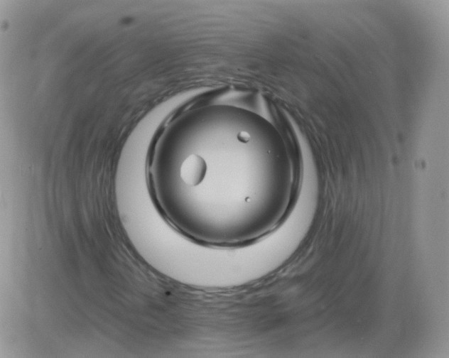 X0000081491202200701262045