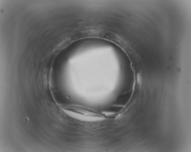 X0000081491203200701262045