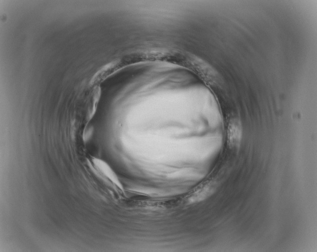 X0000081491204200701262045