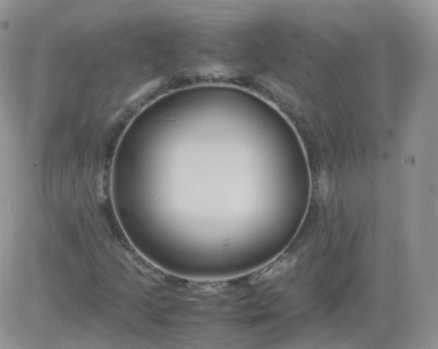 X0000081491205200701262045