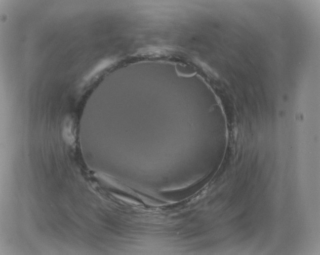 X0000081491206200701262045