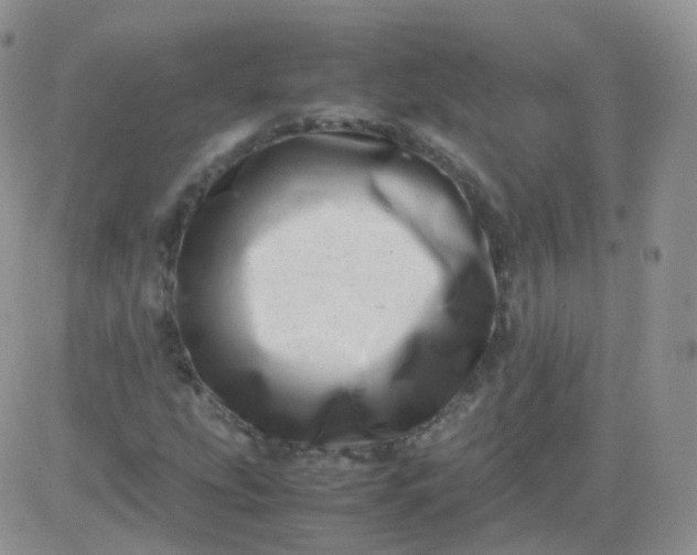 X0000081491207200701262045