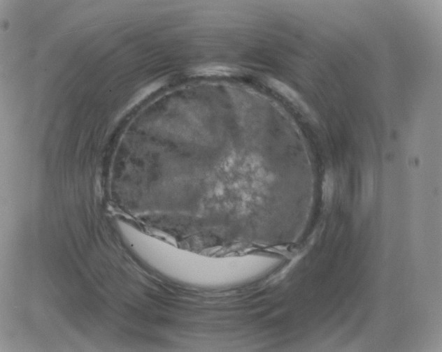 X0000081491209200701262045