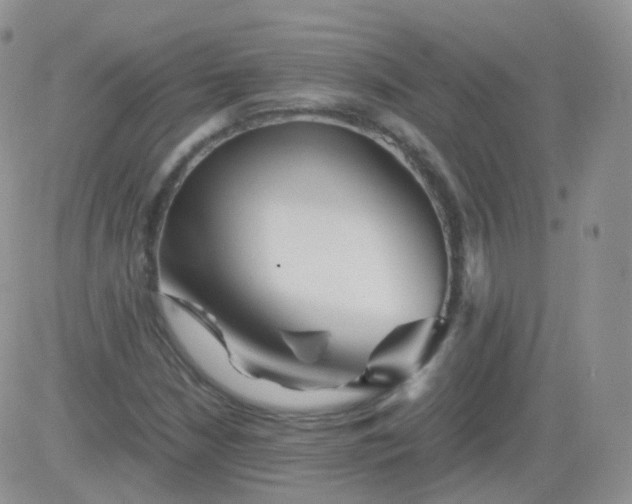 X0000081491210200701262045