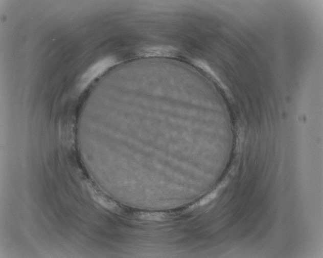 X0000081491211200701262045