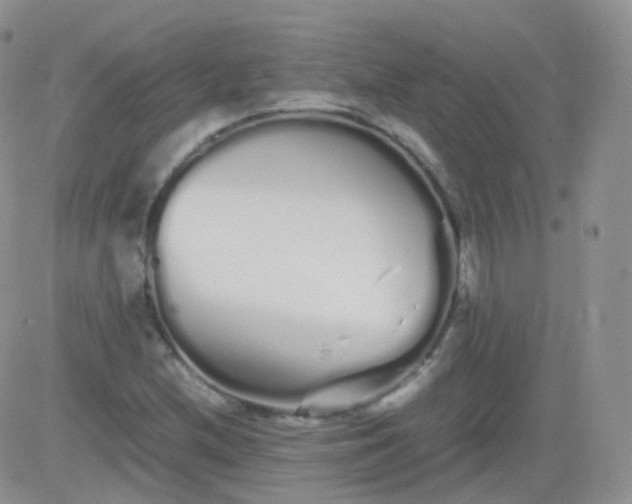 X0000081491212200701262045