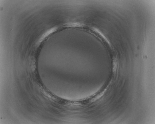 X0000081491213200701262045