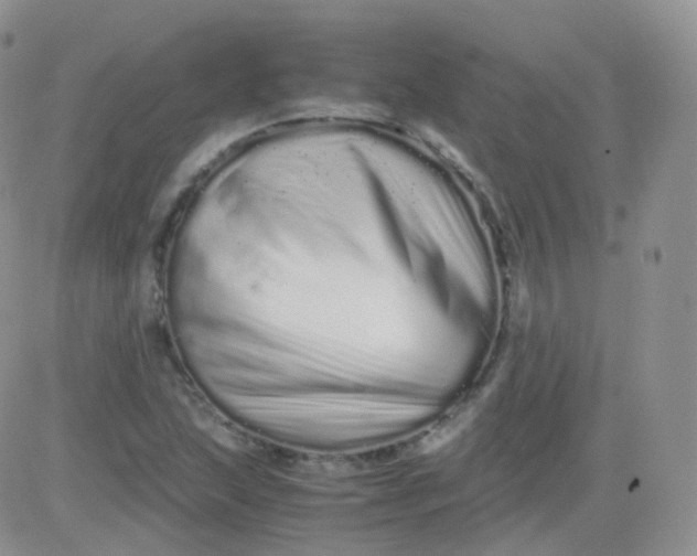 X0000081491215200701262045