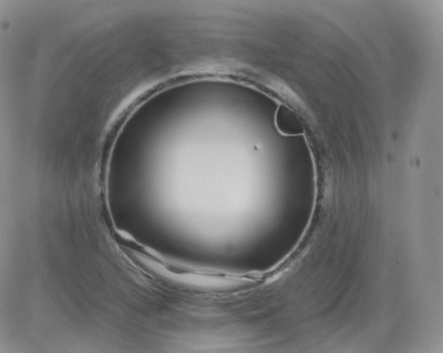 X0000081491216200701262045